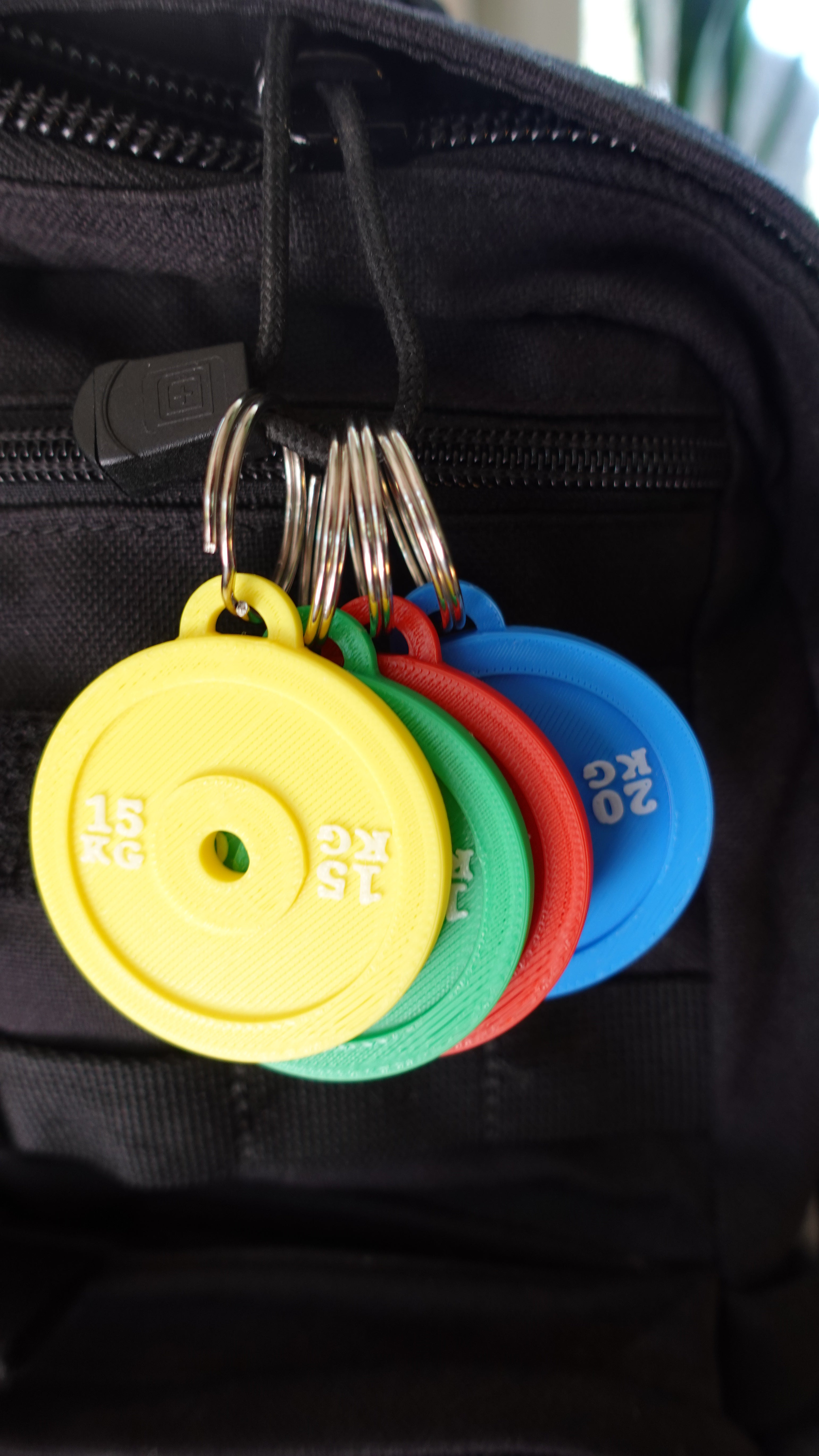 Weight and Kilo Plate Keychains - 3D Printed Plastic Keychains